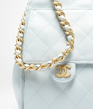 Grained Calfskin & Gold-Tone Metal ~ Cedra