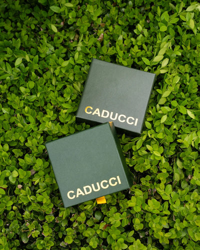 Elegant and Trendy Luna Watch